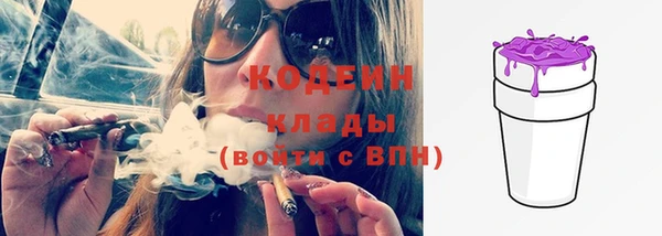 дмт Нея