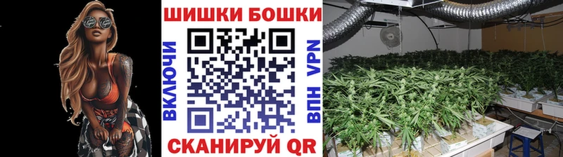 Марихуана White Widow  Рошаль 